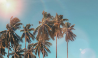 夏日狂欢秘籍：生活小妙招让夏天更精彩